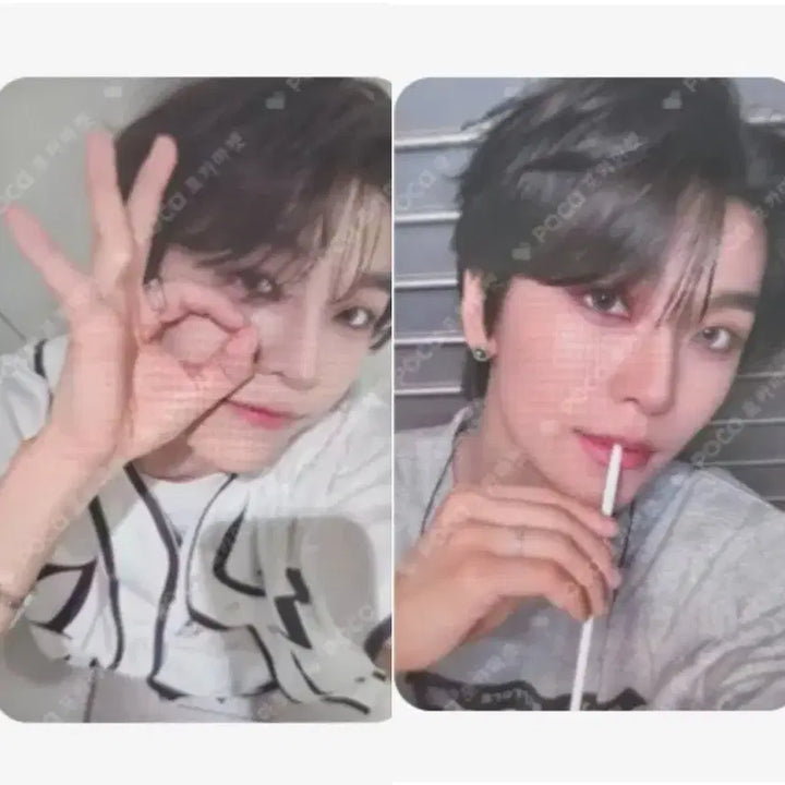 [BUNJANG] RD Won KFC Kcoffee Collab SinLong Photocard / 알디원 KFC Kcoffee 콜라보 씬롱 포카