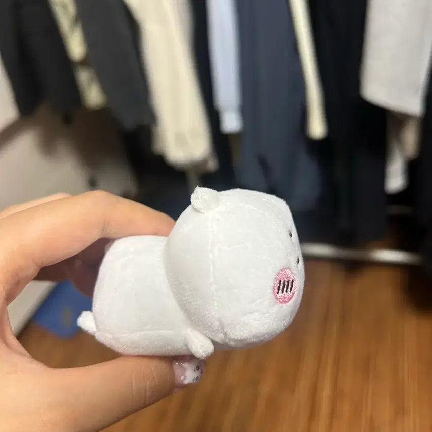[BUNJANG] Chiikawa Plush / 치이카와 누이