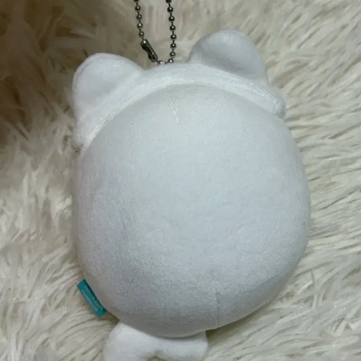 [BUNJANG] Nagano Market Ringed Seal Plush Doll / 나가노마켓 물범 쿠지 인형