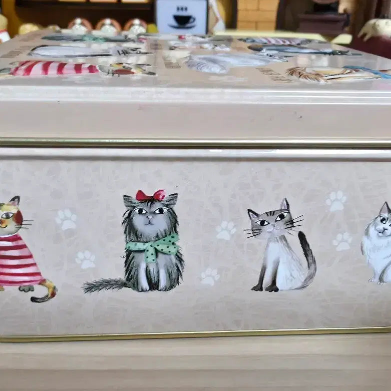 [BUNJANG] Grandma Wilds Cookie Cats Tin Case / 그랜마 와일즈 쿠키 캣츠 틴케이스 (2024)