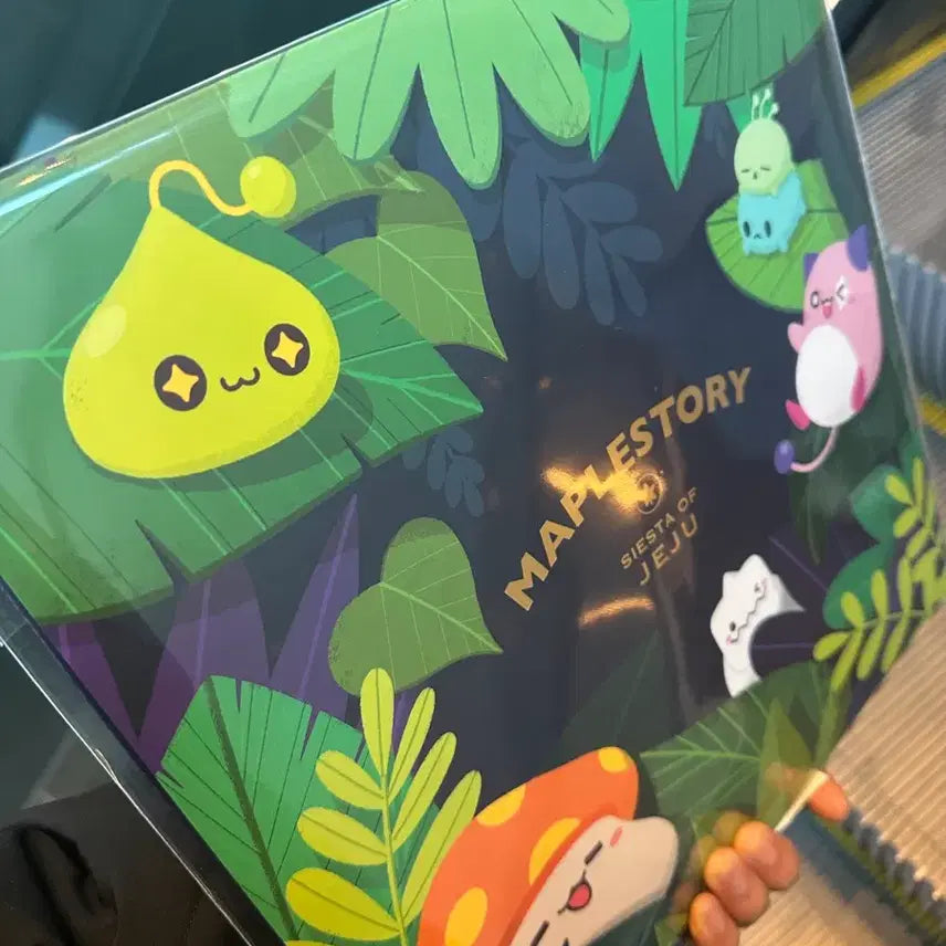 [BUNJANG] Maple Jeju Limited Edition LP / 메이플 제주 lp