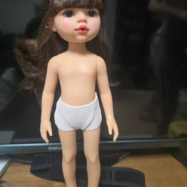 [BUNJANG] Paola Reina Repaint Doll / 파올라레이나 리페아이