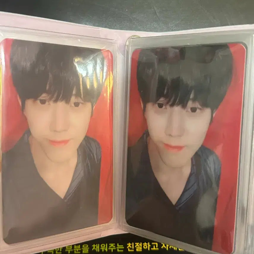 [BUNJANG] Day6 Photocard Bundle Set / 데이식스 포카 23장 처분합니다