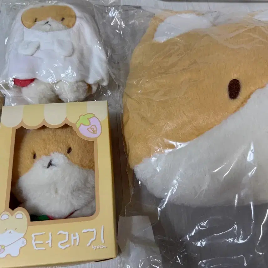 [BUNJANG] Baekhyun Terrier Doll 5-Type Bundle Set / 백현 터래기 인형 5종 일괄