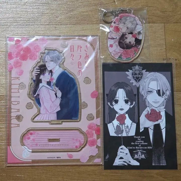 [BUNJANG] Walking On A Rose Daily Fest Acrylic Stand / 너와 장밋빛 매일 걸페스 아크릴스탠드 전프레
