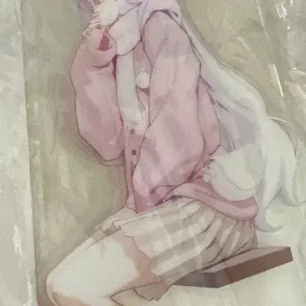 [BUNJANG] Blue Archive Kuroko &amp; Himari Bundle / 블루아카이브 쿠로코+히마리 일괄