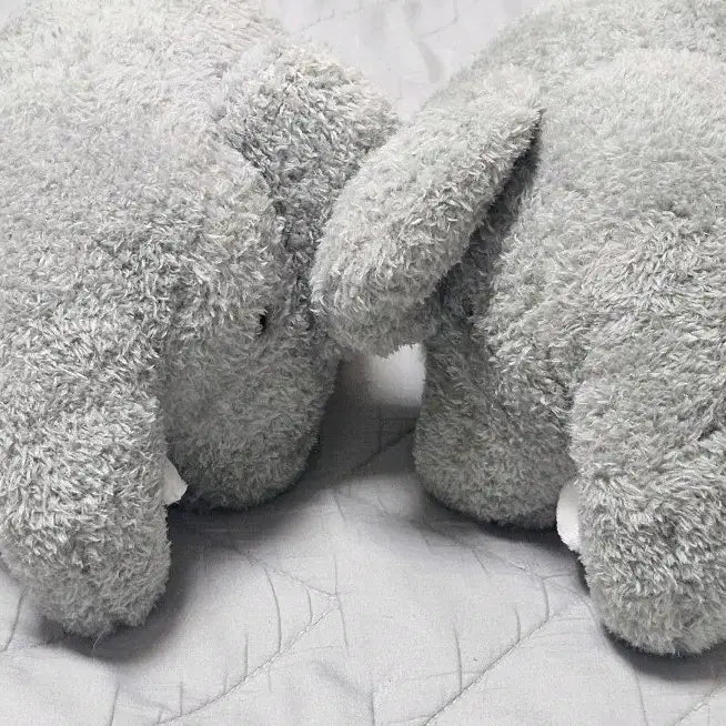 [BUNJANG] Medium Elephant Plush Set / 코끼리 중형 인형