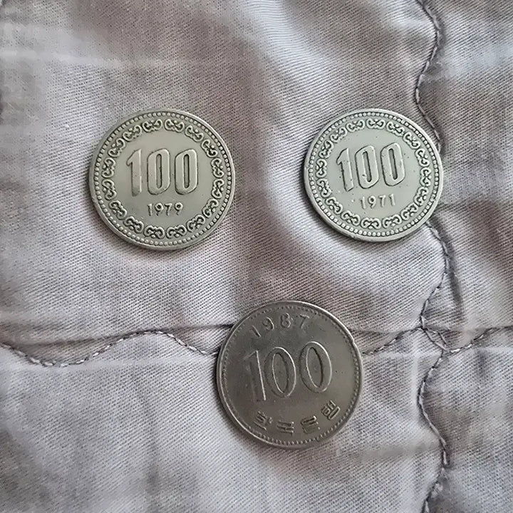 [BUNJANG] Error Coins Collection / 에러동전들