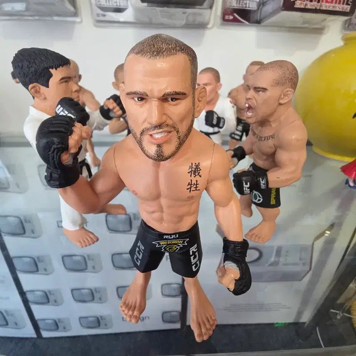 [BUNJANG] UFC Fighting Championship Figurine Set / ufc피규어