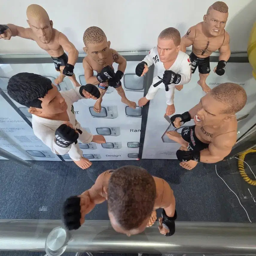 [BUNJANG] UFC Fighting Championship Figurine Set / ufc피규어