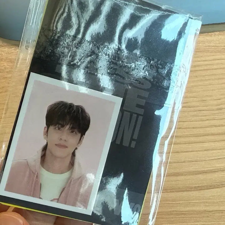 [BUNJANG] DAY6 Wonpil Rabbit Photocard / 데이식스 원필 토끼포카 양도