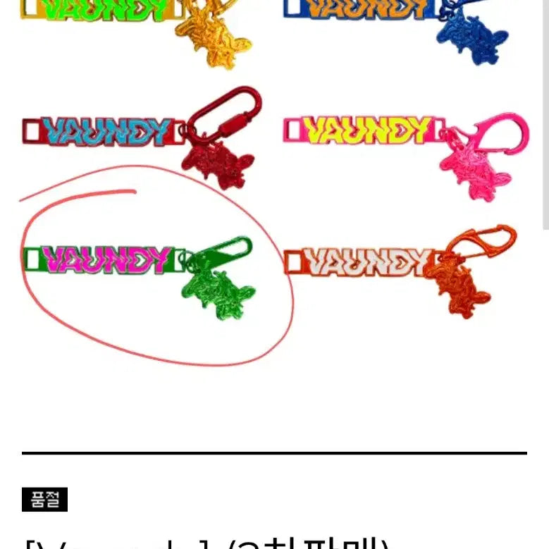 [BUNJANG] Boundi (Korea Tour) Metal Keychain (Green) / 바운디 내한 md 메탈 키체인 초록
