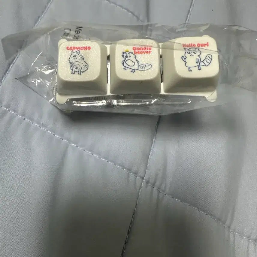 [BUNJANG] Jeong Seok-jun Keycap Keychain Set / 정석준 키캡키링