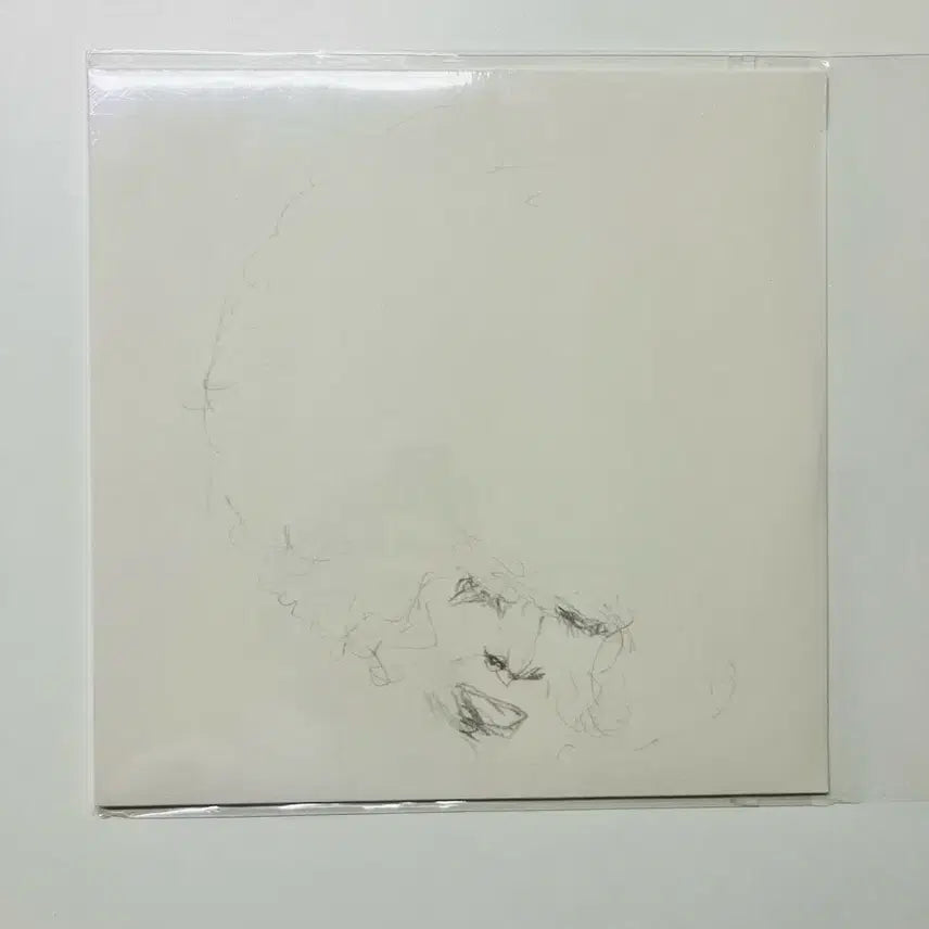 [BUNJANG] Will Long Sallow / Pine 12-inch Vinyl / Will Long - Sallow / Pine 12인치