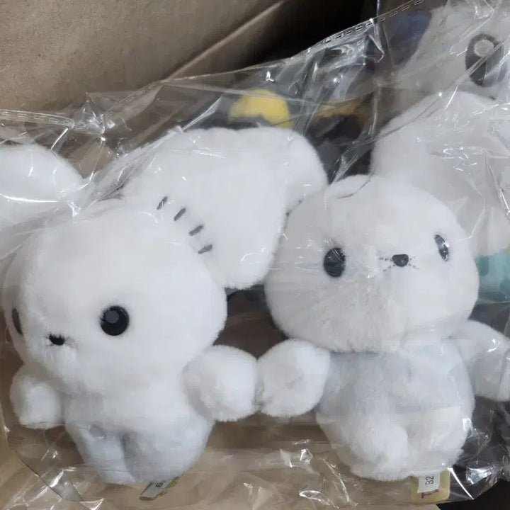 [BUNJANG] Pokemon "Choose You!" Dori-Dori Plush Doll / 택포) 포켓몬스터 두리쥐 너로정했다! 인형 누이 피규어 카드 키미니 쿠지 포켓몬센터