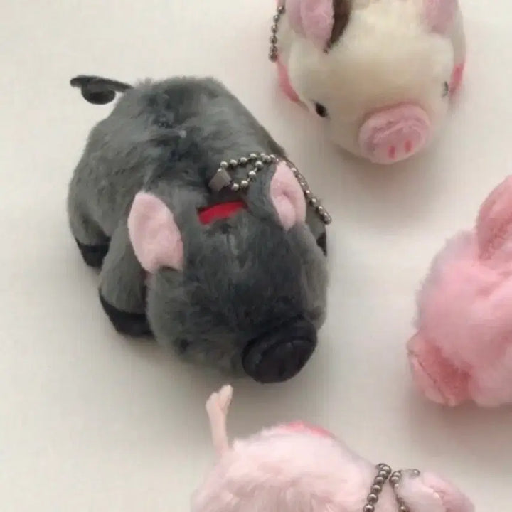 [BUNJANG] Micro Pig Gacha / (미개봉) 마이크로 피그 돼지 가챠