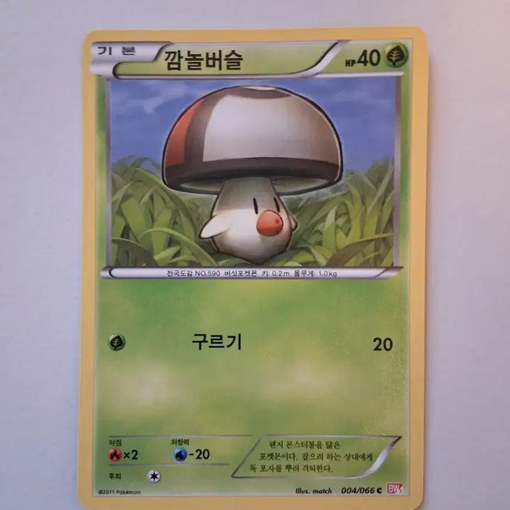 [BUNJANG] Pokemon Card 2011 Ancient Card Surprise / 포켓몬 카드 2011년 고대 카드 깜놀버슬