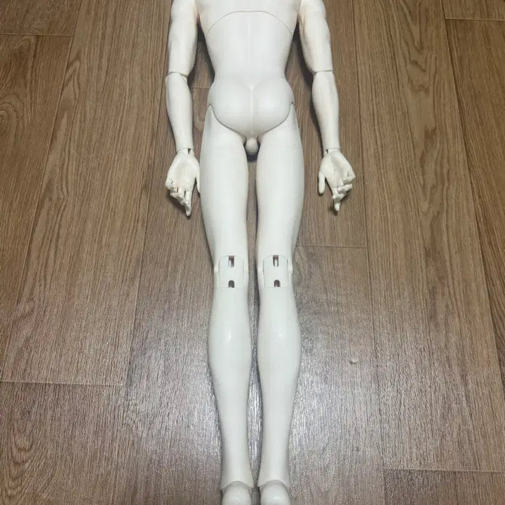 [BUNJANG] Dolltz 70 Body Water Type Doll / 돌리츠 70바디 물포