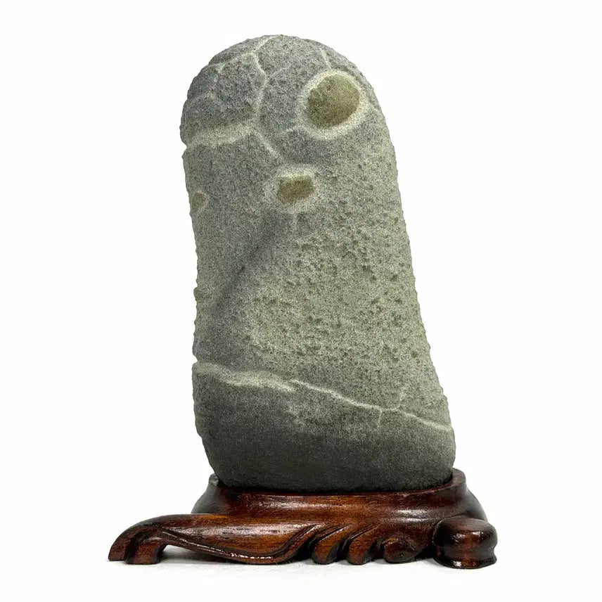[BUNJANG] Korean Turtle Shell Stone Suiseki / 울산 구갑석 수석