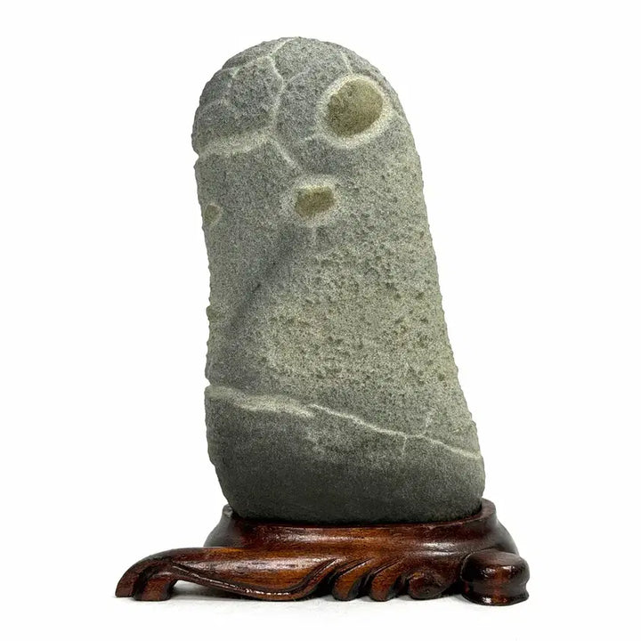 [BUNJANG] Korean Turtle Shell Stone Suiseki / 울산 구갑석 수석