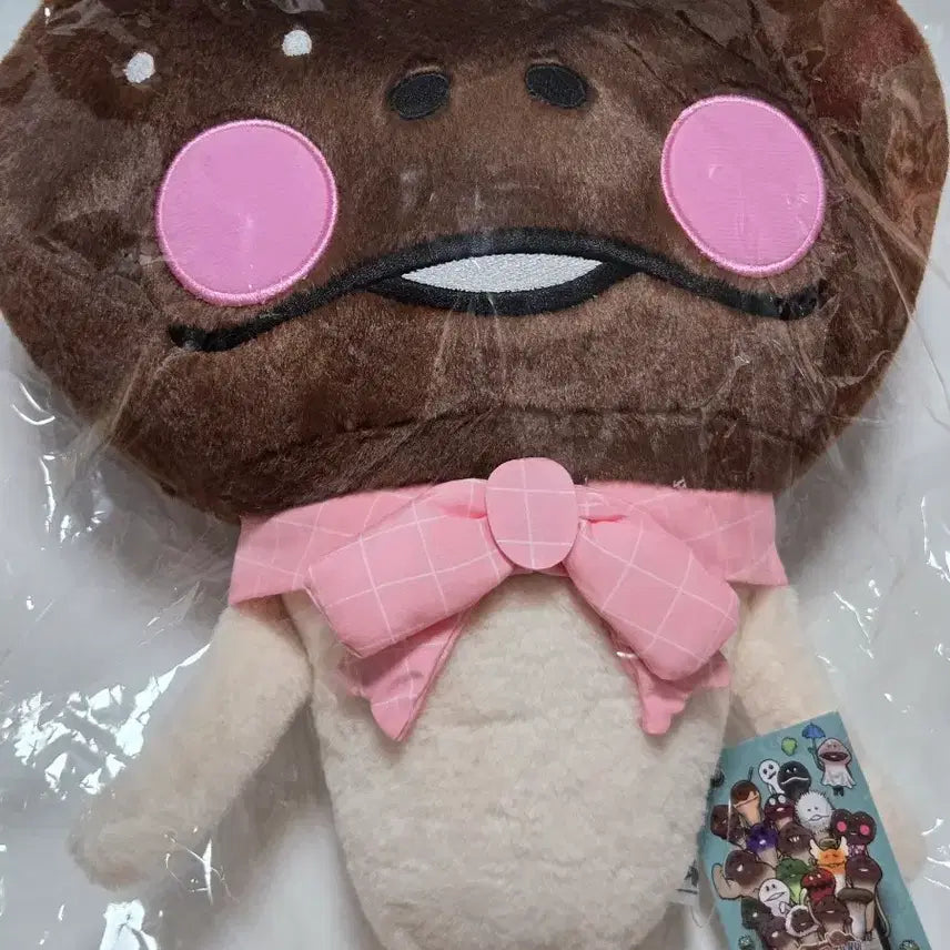[BUNJANG] Nanameco Confession Choco Medium Plush Doll / [새상품]나메코 고백초코 중형 인형