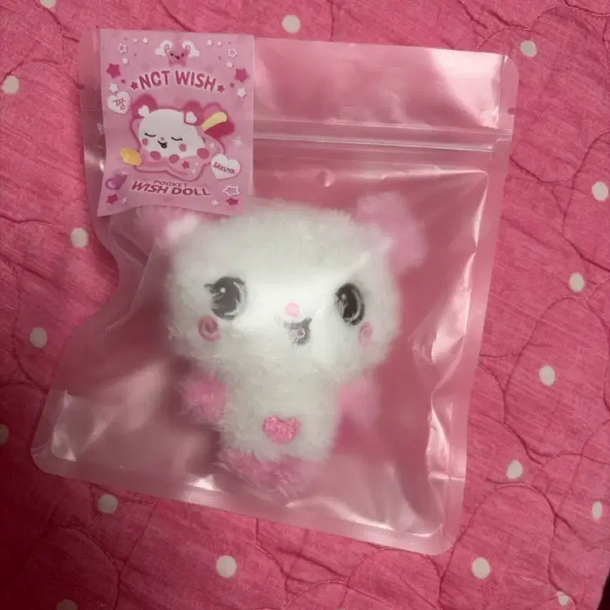 [BUNJANG] Bakeri Pangyi Photocard / 베이커리 팡이 팔아요(급처!!!!