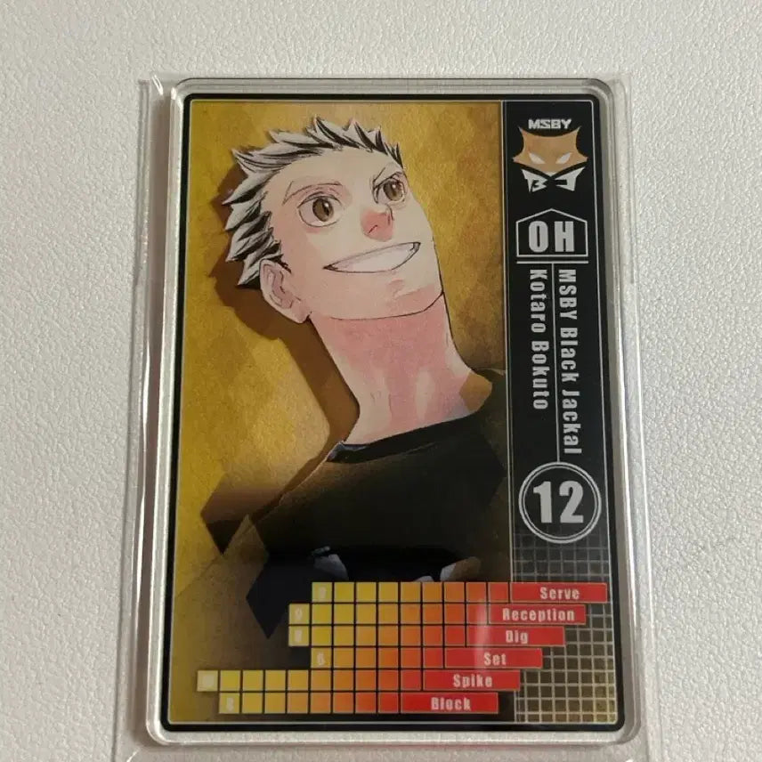 [BUNJANG] Haikyuu!! Acrylic Card / 하이큐 아크릴 카드