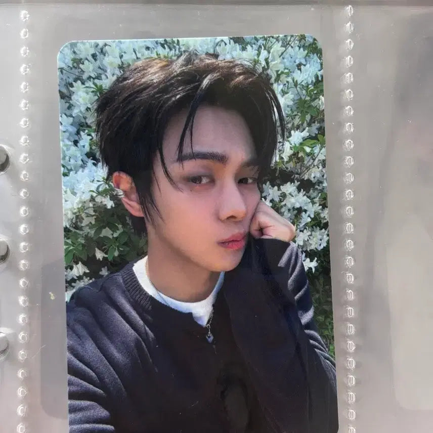 [BUNJANG] ALPHADRIVE1 RIO Ballzzipang POB Photocard / 알디원 리오 볼찌빵 미공포 포카 // 알파드라이브원 이리오