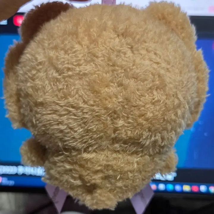 [BUNJANG] Momonga Teddy Bear Chiboo / 테디베어 모몽가 치부부