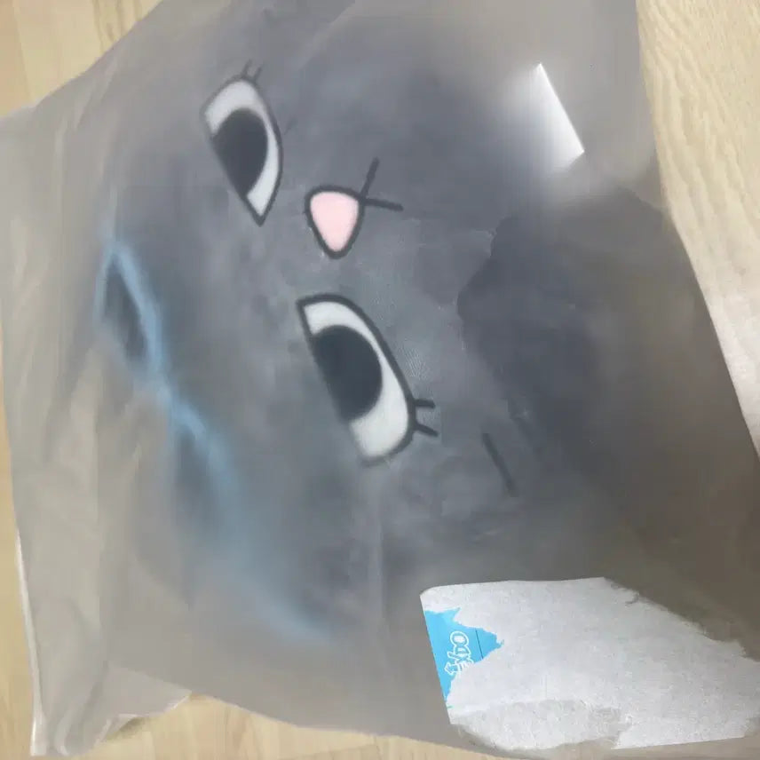 [BUNJANG] BOYNEXTDOOR Taesan One-time Wind Face Cushion / 보이넥스트도어  태산 한탯풍 얼굴 쿠션