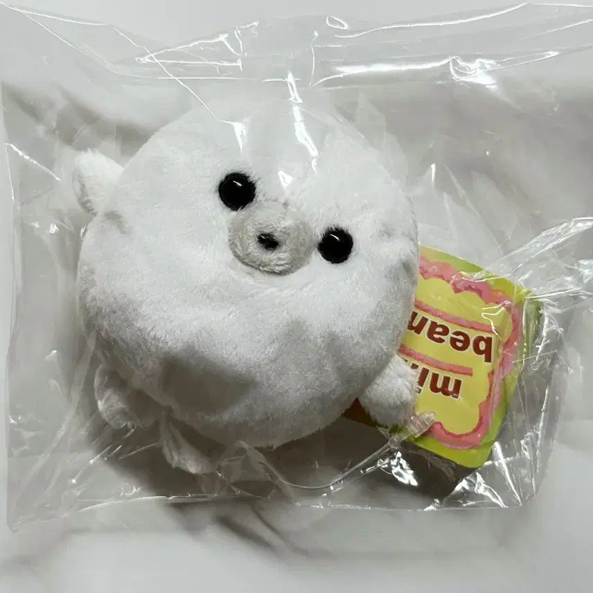 [BUNJANG] Minibeans Seal Plush / 미니빈즈 물개 물범 인형