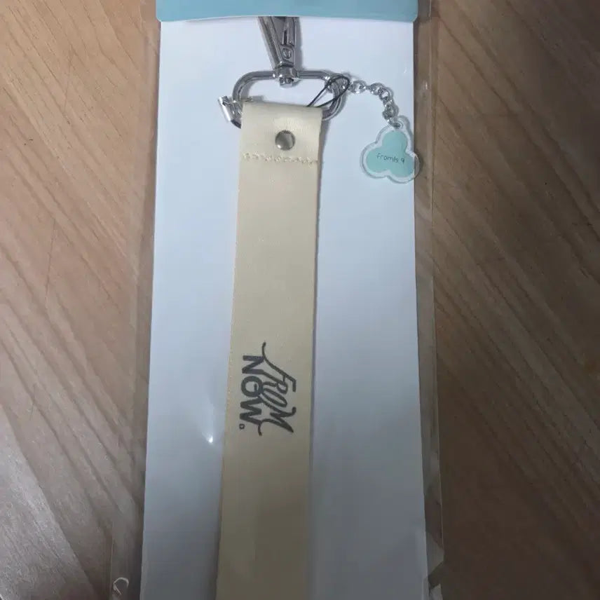 [BUNJANG] fromis_9 Strap Keyring / 프로미스나인 스트랩 키링