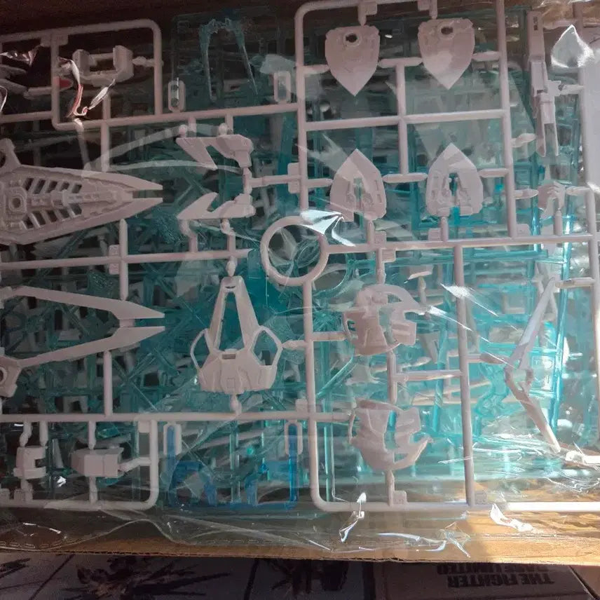 [BUNJANG] Bandai Master Grade SD Freedom Gundam Model Kit / 대륙건담 mgsd 프리덤