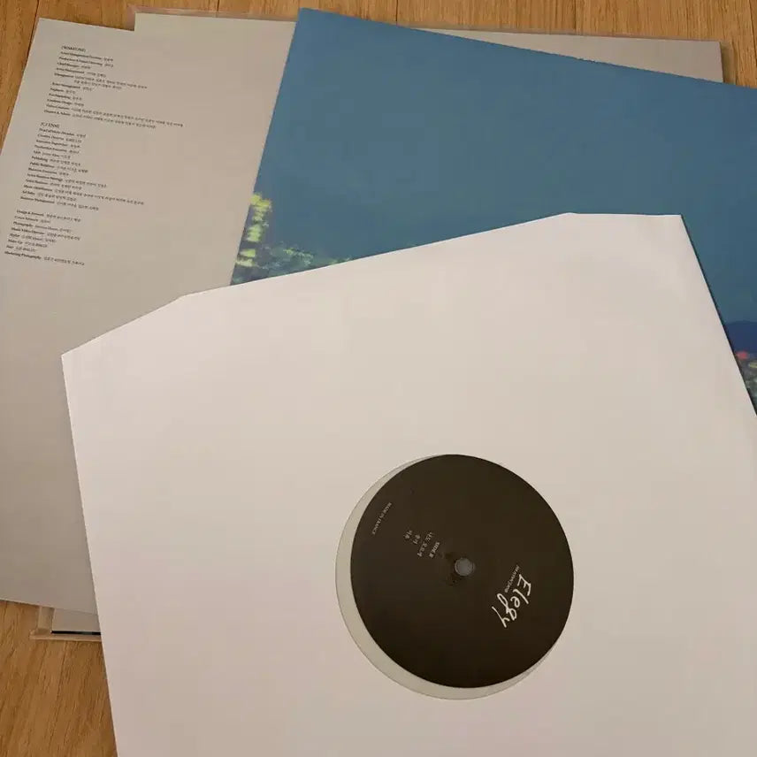 [BUNJANG] Ha Hyun Sang Elegy LP / 하현상 elegy lp 판매