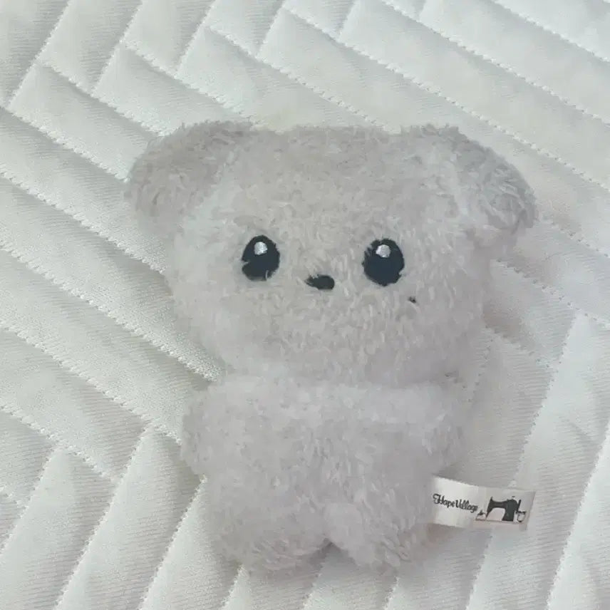 [BUNJANG] Cloud Jelly Jungwoo Doll / 구름쩡 정우 인형