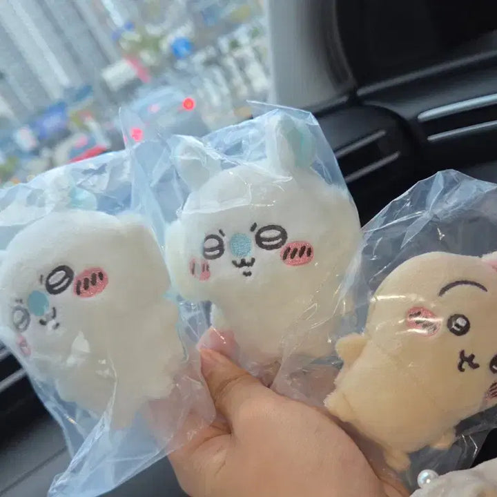 [BUNJANG] Momonga Seated Plush Doll / 모몽가 앉은누이 누이구루미 미개봉