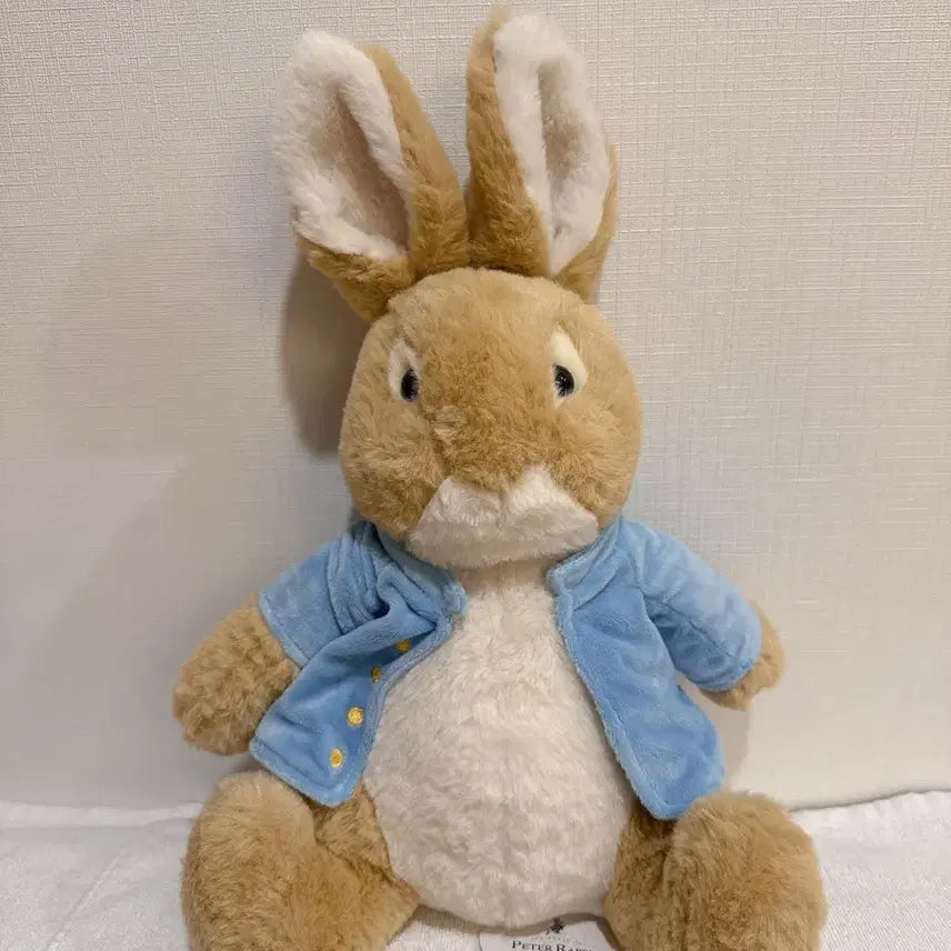 [BUNJANG] Peter Rabbit Medium Plush Blue Jacket / 피터래빗 중형 인형 블루 자켓 (정품 택 새상품)