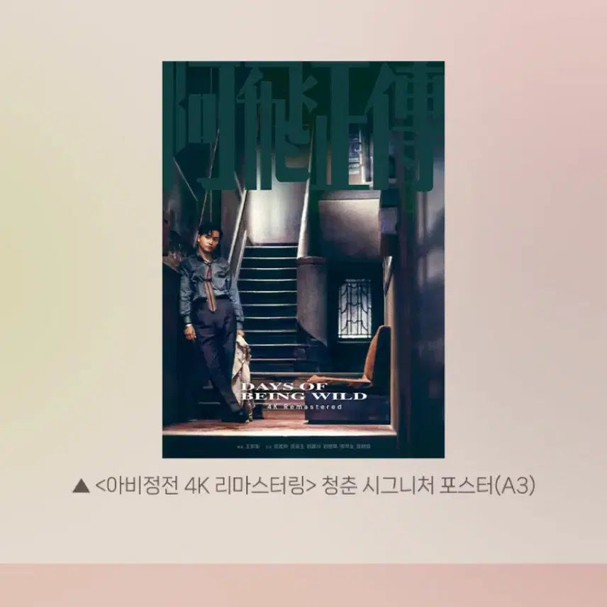 [BUNJANG] Ashes of Time Signature Poster / 아비정전 청춘 시그니처 포스터