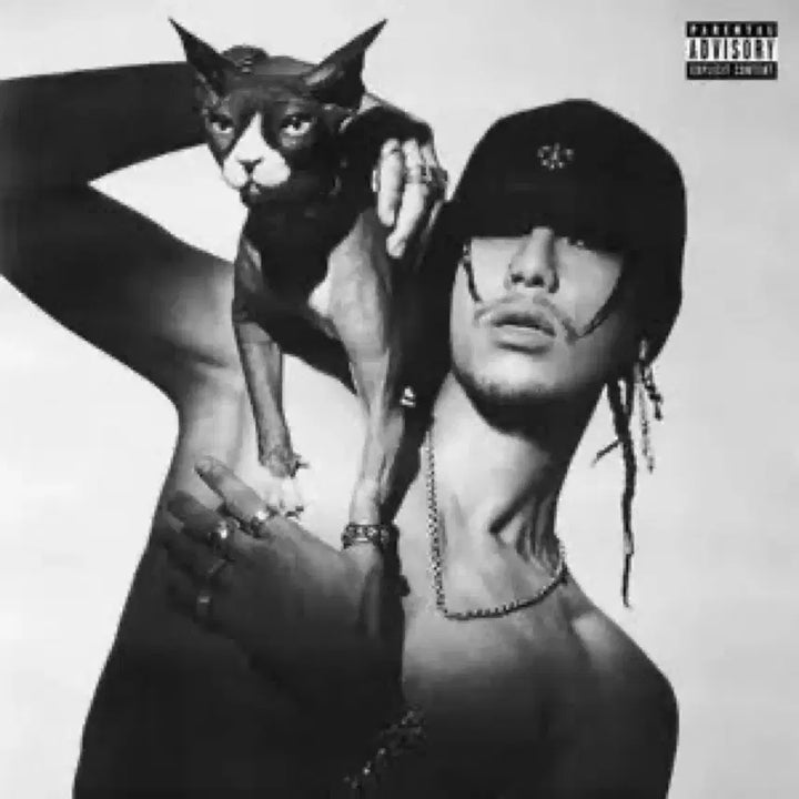 [BUNJANG] Sik-K Headliner CD / 급처!!) 국힙 식케이 헤드라이너 cd