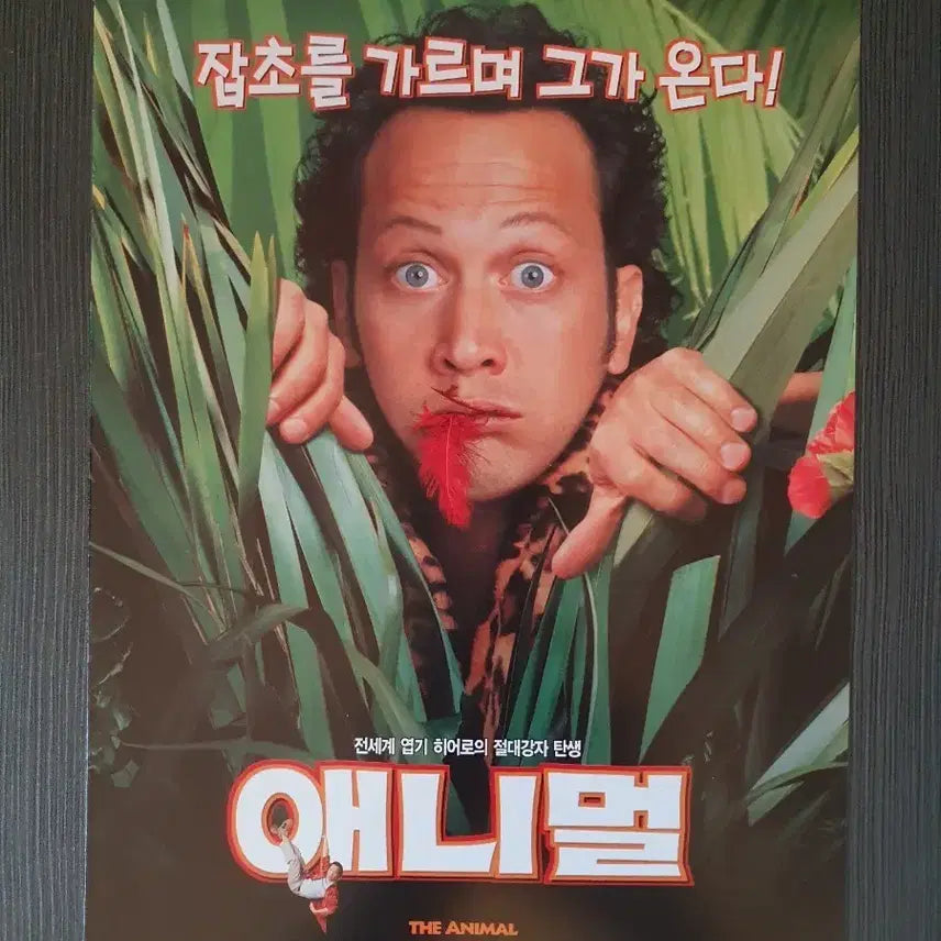 [BUNJANG] Animal 2001 Movie Flyer B5 Single Fold Rob Schneider / 애니멀 2001년 영화 전단지 B5 2단접이 롭 슈나이더
