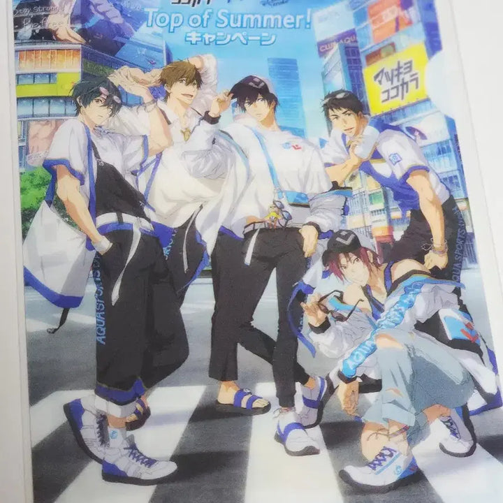 [BUNJANG] Free! Matsukiyo Collaboration Mini Clear File / free! 프리 마츠키요 콜라보 미니 클리어파일