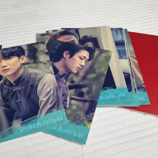 [BUNJANG] Spring Awakening Musical Postcard Set 2021 / 2021년 뮤지컬 스프링 어웨이크닝 굿즈 - 엽서
