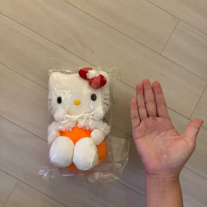 [BUNJANG] Sanrio Hello Kitty Classic Winter Doll / 산리오 헬로키티 고전 겨울 인형