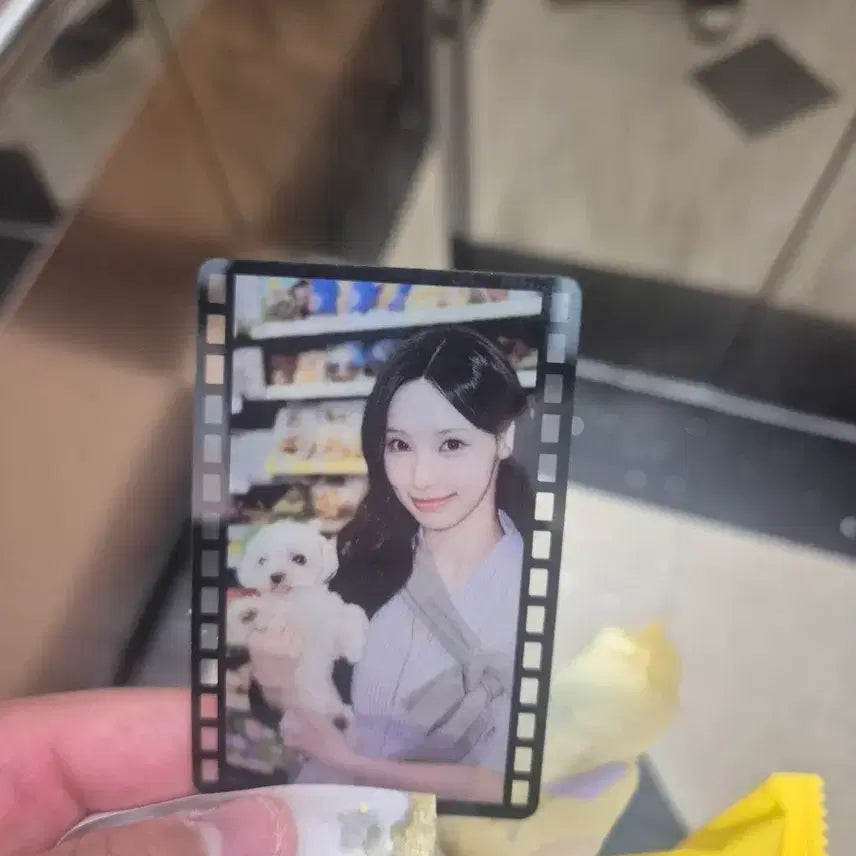 [BUNJANG] Lesene Bbang Woni Byuli Limited Edition Photocard / 리센느빵 원이 별이 한정판