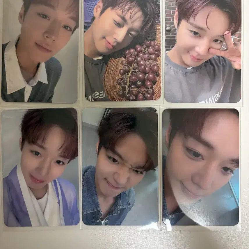 [BUNJANG] Park Jihoon The Venti Photocard Bundle Set (Includes Encore Charm Photocard) / 박지훈 더벤티 포카 일괄 판매 (앙콘부적포함)