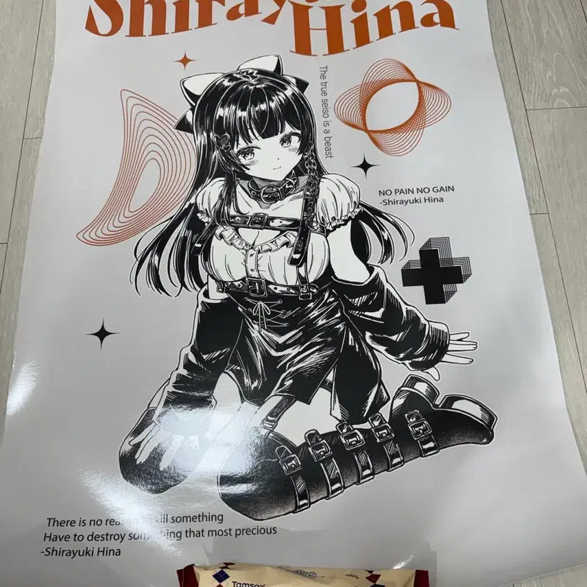 [BUNJANG] Stellive Hina Poster / 스텔라이브 히나 포스터 판매합니다