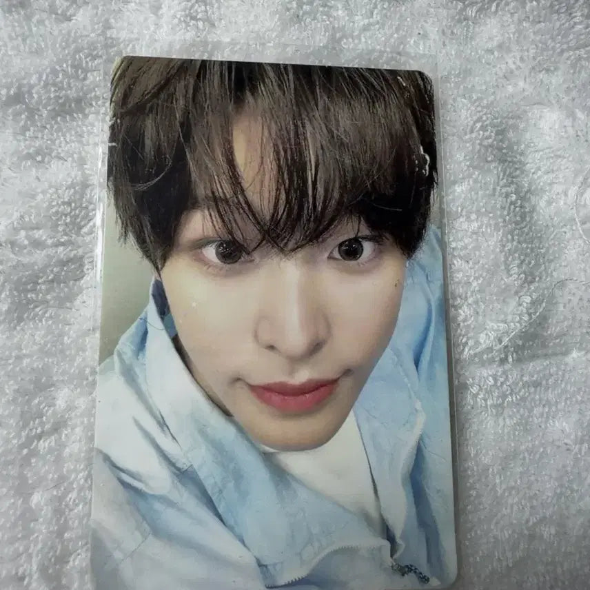 [BUNJANG] NCT WISH Riku Photocard / 엔시티 위시 리쿠 포카
