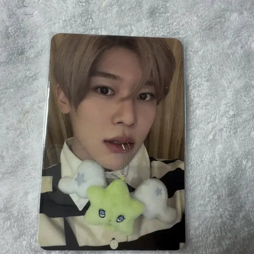 [BUNJANG] NCT WISH Sion Witchu Photocard / 엔시티 위시 시온 위츄 포카