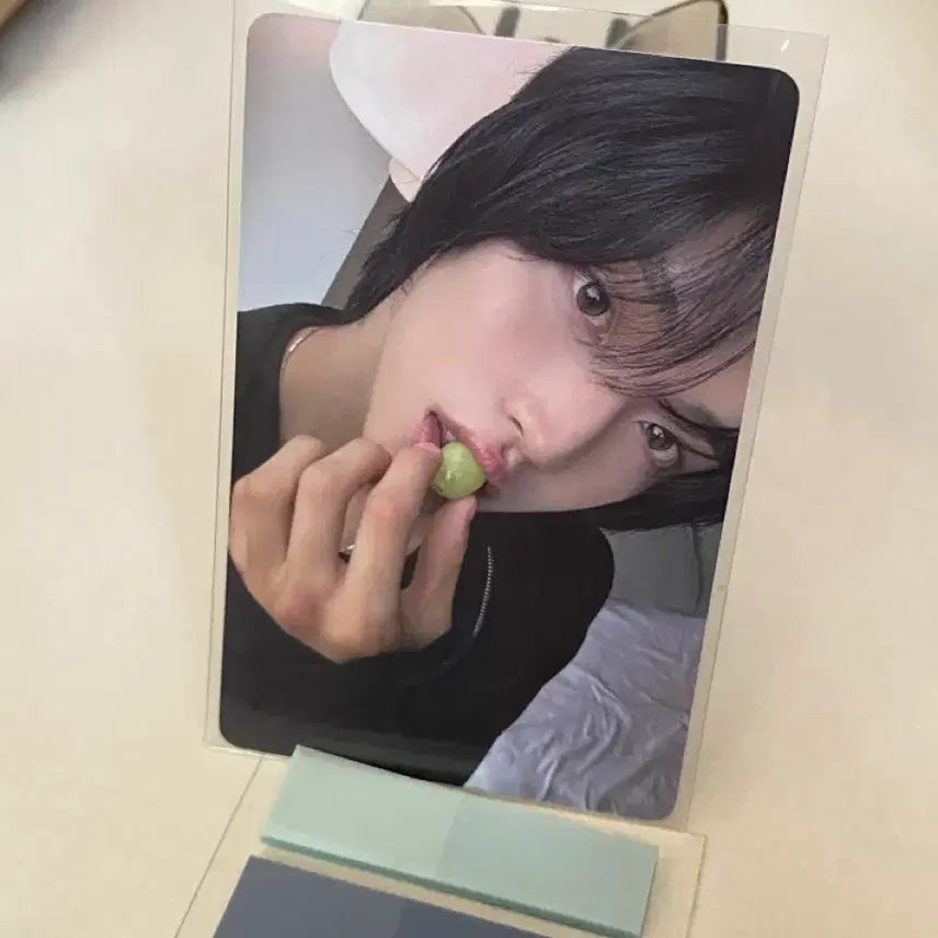 [BUNJANG] RIIZE Wonbin DICON Ver. A Grape Photocard / 라이즈 원빈 디아이콘 A버전 청포도 포카