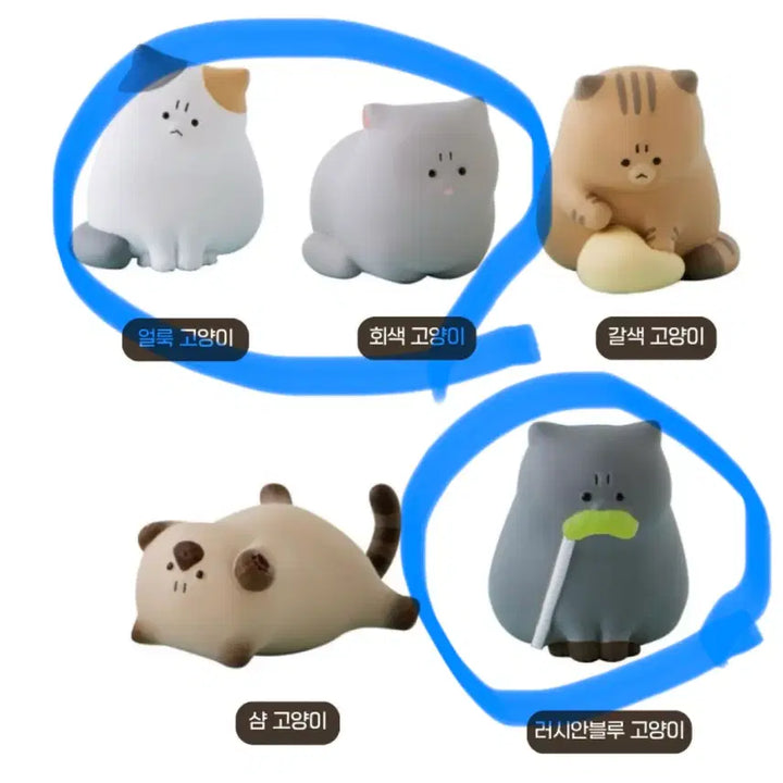 [BUNJANG] Grumpy Cat Gacha 3-Type Bundle Set / 화난 고양이 가챠 3종 일괄